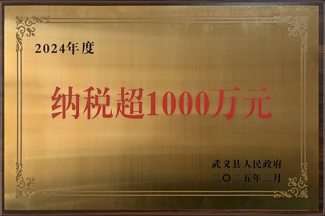 nsqw (1)