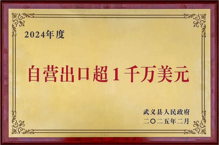 nsqw (2)
